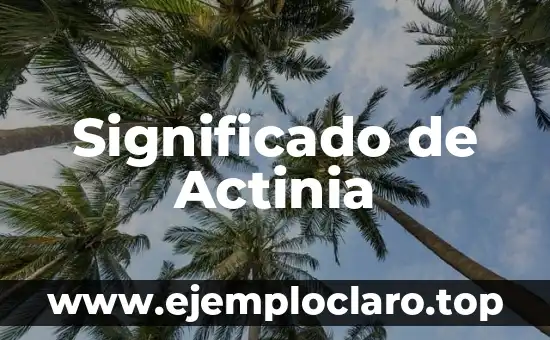 El Significado de Acompasado: La Sincronización Perfecta en el Movimiento 7 Significado de Actinia