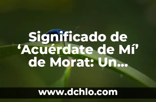 Tatuajes de búhos para mujeres: Descubre su significado y simbolismo 7 Significado de ‘Acuérdate de Mí’ de Morat: Un Análisis Profundo