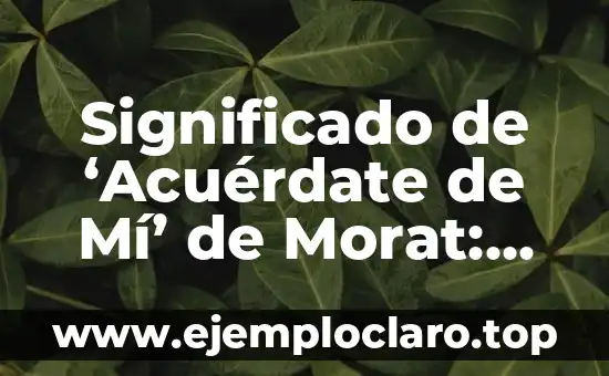 Tatuajes de búhos para mujeres: Descubre su significado y simbolismo 7 Significado de ‘Acuérdate de Mí’ de Morat: Un Análisis Profundo