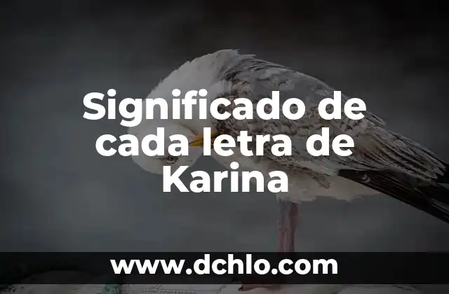 El significado de cada letra en Michelle 4 Significado de cada letra de Karina