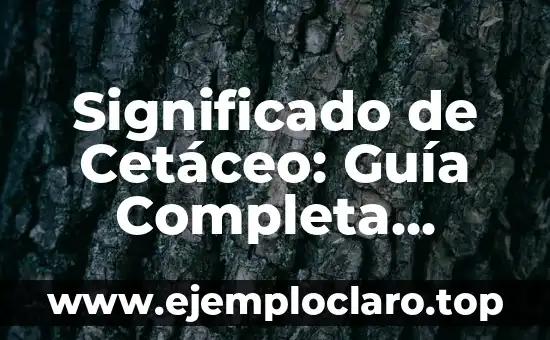 Estudio de los Mamíferos - Un Viaje al Corazón de la Biología 3 Significado de Cetáceo: Guía Completa Sobre Estos Mamíferos Marinos