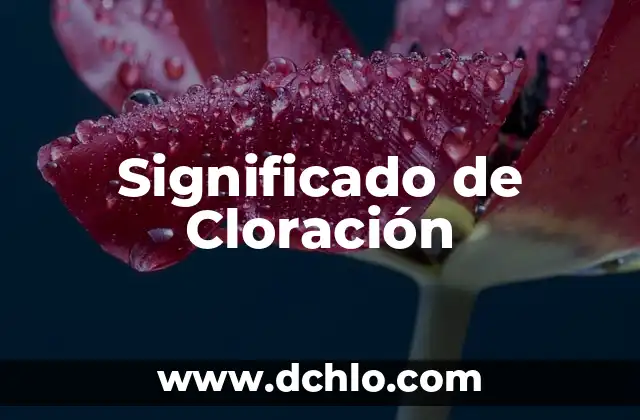 El Significado Real de la Lógica 5 Significado de Cloración