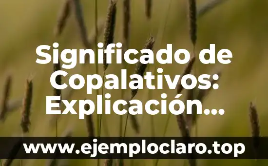 ¿Quiénes son los hijos de mis primos? Definición y explicación 3 Significado de Copalativos: Explicación Detallada