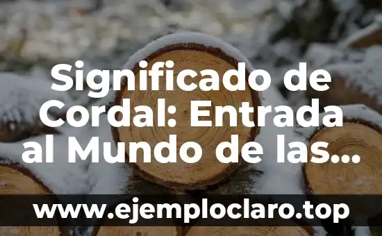 Las Cuerdas Vocales: Definición y Función 7 Significado de Cordal: Entrada al Mundo de las Cuerdas Vocales