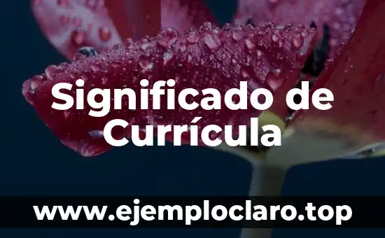 Significado de UMAM en Seguros 8 Significado de Currícula