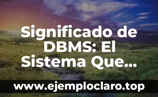 Significado de DBMS: El Sistema Que Gestionan Nuestros Datos