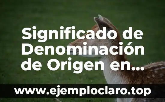 Significado de Denominación de Origen en los Vinos
