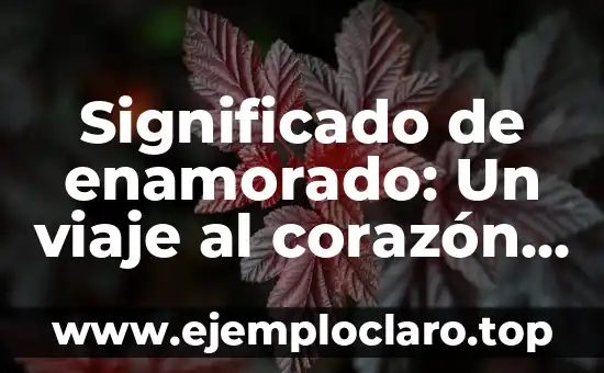 Significado de enamorado: Un viaje al corazón del amor