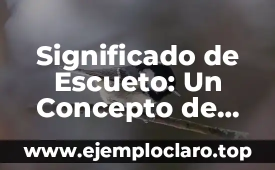 Significado de Escueto: Un Concepto de Sencillez y Limitación