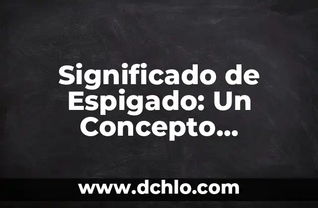 Esplendido: Un Concepto de Gran Significancia 6 Significado de Espigado: Un Concepto Fundamental