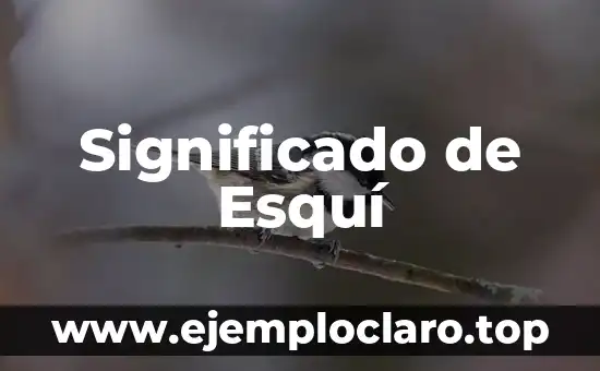 Significado de Esquí
