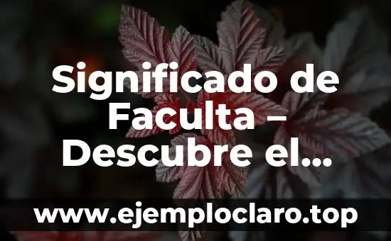 Significado de Faculta - Descubre el Concepto detrás de esta Palabra