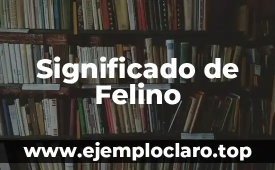 Significado de Felino