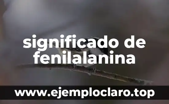 significado de fenilalanina