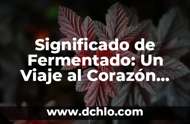 Melcocha o Melancolía: Un Viaje al Corazón de la Emoción 7 Significado de Fermentado: Un Viaje al Corazón de la Transformación