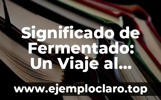 Significado de Fermentado: Un Viaje al Corazón de la Transformación