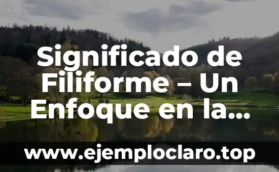 Significado de Filiforme - Un Enfoque en la Biología Vegetal