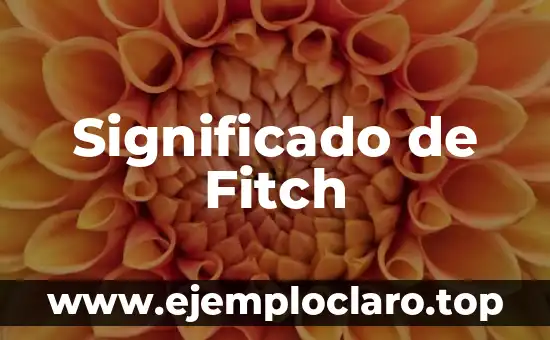 Significado de Fitch