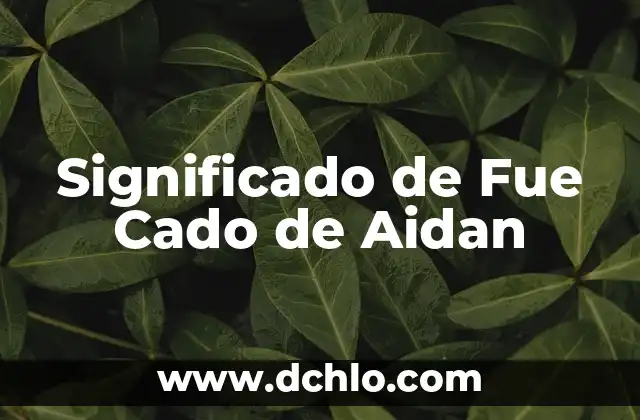 ¿Cuál fue la causa de la muerte de Luis Gil? - Descubre la verdad sobre el fallecimiento del actor español 3 Significado de Fue Cado de Aidan