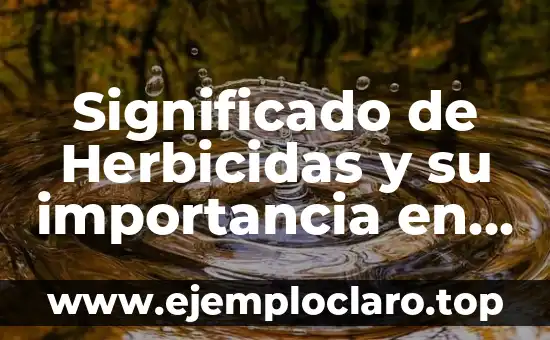 Contaminación de Semillas: Un Tema Fundamental en Agricultura 5 Significado de Herbicidas y su importancia en la agricultura