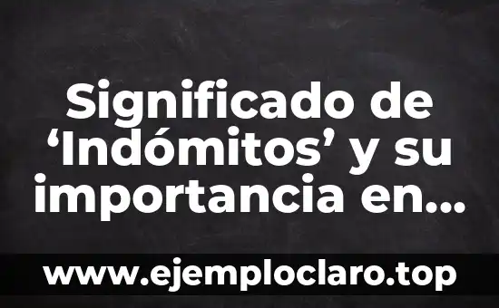 Significado de 'Indómitos' y su importancia en diferentes contextos