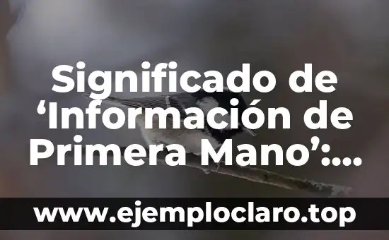 Significado de 'Información de Primera Mano': Todo lo que Necesitas Saber