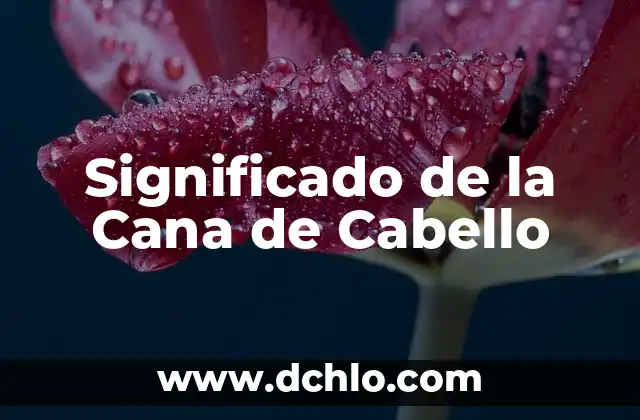 Mascara de Cebolla para el Cabello: Descubre los Beneficios para tu Pelo 4 Significado de la Cana de Cabello