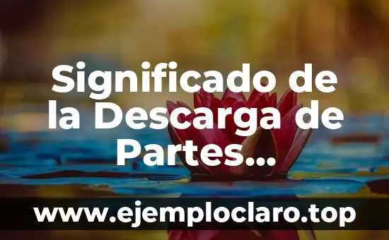 Significado de la Descarga de Partes Individuales