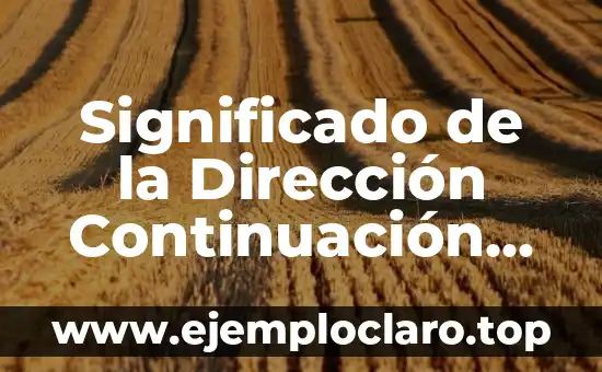 Significado de la Dirección Continuación de Casa: Un Enfoque en la Arquitectura Doméstica
