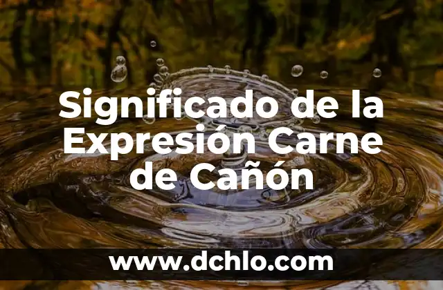 Emojis y Juegos de Personas: Un Mundo de Expresión Digital 5 Significado de la Expresión Carne de Cañón