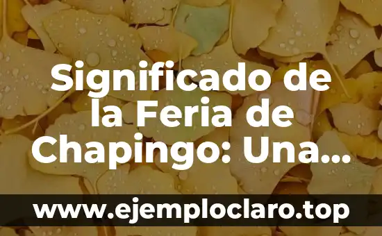 Significado de la Feria de Chapingo: Una Celebración de la Cultura y la Agricultura