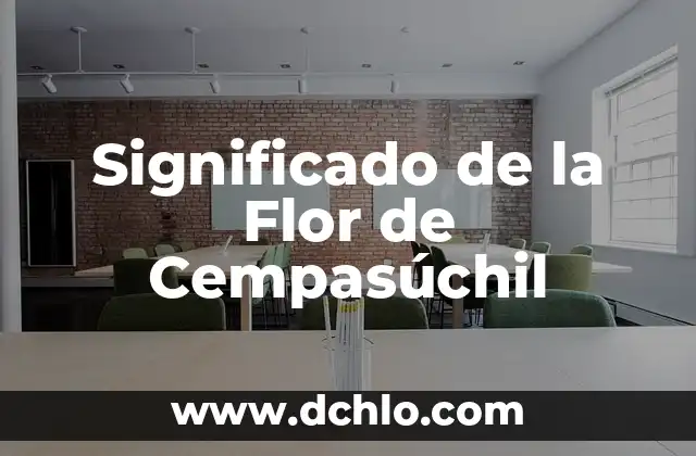 Flores de Cempasúchil que significan 3 Significado de la Flor de Cempasúchil