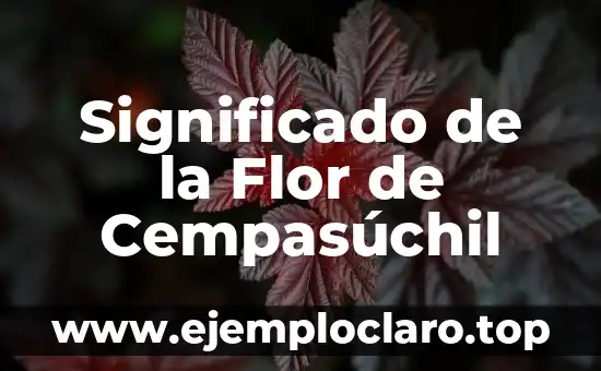Significado de la Flor de Cempasúchil