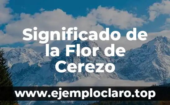 Significado de la Flor de Cerezo