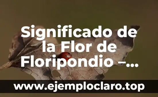 Significado de la Flor de Floripondio - Un Viaje por su Importancia y Simbolismo