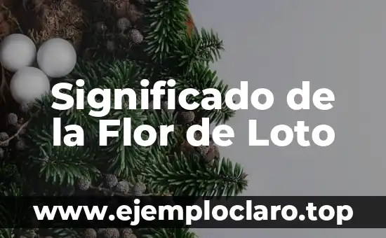 Tatuaje Flor de la Vida Significado 5 Significado de la Flor de Loto