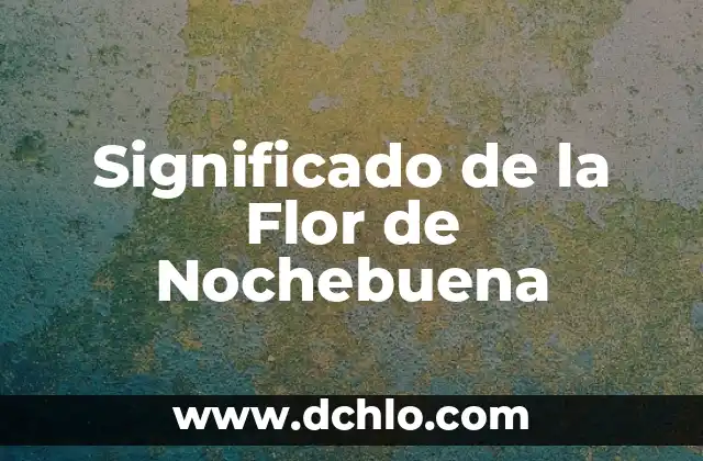 El Significado de la Mano de Fátima 3 Significado de la Flor de Nochebuena
