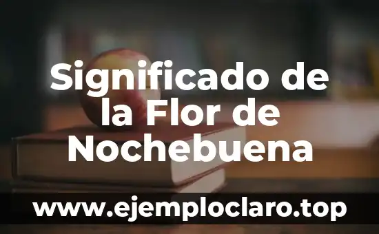 Significado de la Flor de Nochebuena