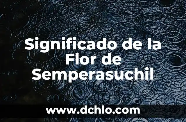 El Significado de la Mano de Fátima 6 Significado de la Flor de Semperasuchil