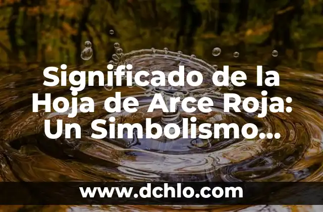 Hojas de laurel: significado y simbolismo detrás de sus hojas 6 Significado de la Hoja de Arce Roja: Un Simbolismo Profundo