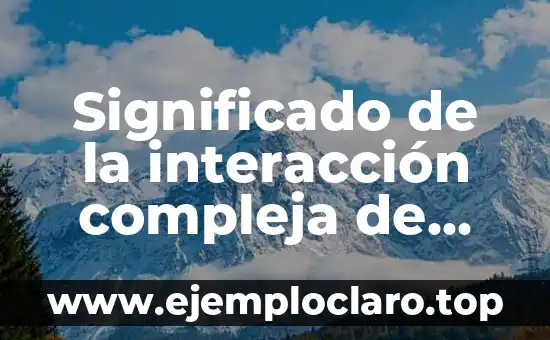 Melancolía - El Significado Profundo de una Emoción Compleja 3 Significado de la interacción compleja de mediadores