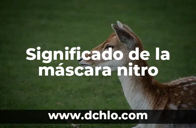 Mascara para Blanquear la Cara en un Día: ¡Descubre el Secreto! 4 Significado de la máscara nitro