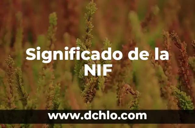 Significado del Nombre de Iván 4 Significado de la NIF