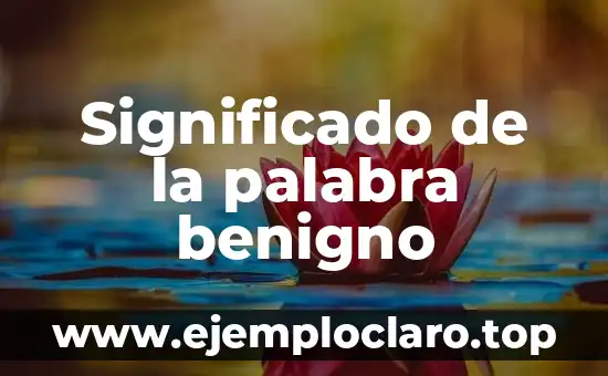 Examen significado de la palabra 3 Significado de la palabra benigno