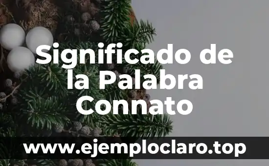 Significado de la Palabra Connato