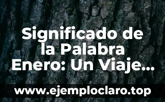 Significado de la Palabra Enero: Un Viaje por sus Raíces y Evolución