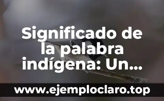 Significado de la palabra indígena: Un viaje a través de las culturas originarias
