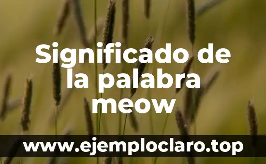 Significado de la palabra meow
