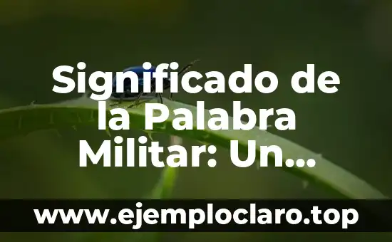 Significado de la Palabra Militar: Un Análisis Detallado
