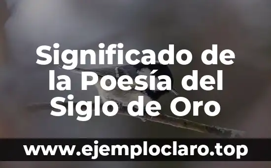 Significado de la Poesía del Siglo de Oro